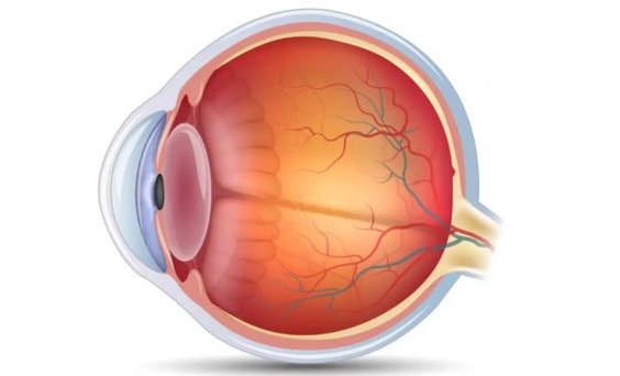 عمليات الشبكية في إسطنبول